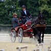 074 Week-end du cheval-Concours Attelage à La Forêt Fouesnant 9-10 juillet 2016