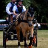 074 Week-end du cheval-Concours Attelage à La Forêt Fouesnant 9-10 juillet 2016