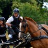 074 Week-end du cheval-Concours Attelage à La Forêt Fouesnant 9-10 juillet 2016
