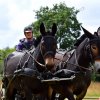 074 Week-end du cheval-Concours Attelage à La Forêt Fouesnant 9-10 juillet 2016