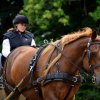 074 Week-end du cheval-Concours Attelage à La Forêt Fouesnant 9-10 juillet 2016