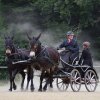 074 Week-end du cheval-Concours Attelage à La Forêt Fouesnant 9-10 juillet 2016