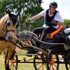 074 Week-end du cheval-Concours Attelage à La Forêt Fouesnant 9-10 juillet 2016