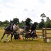 074 Week-end du cheval-Concours Attelage à La Forêt Fouesnant 9-10 juillet 2016