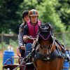 074 Week-end du cheval-Concours Attelage à La Forêt Fouesnant 9-10 juillet 2016