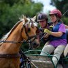 074 Week-end du cheval-Concours Attelage à La Forêt Fouesnant 9-10 juillet 2016