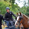 074 Week-end du cheval-Concours Attelage à La Forêt Fouesnant 9-10 juillet 2016