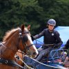 074 Week-end du cheval-Concours Attelage à La Forêt Fouesnant 9-10 juillet 2016