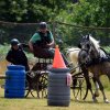 074 Week-end du cheval-Concours Attelage à La Forêt Fouesnant 9-10 juillet 2016