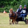 074 Week-end du cheval-Concours Attelage à La Forêt Fouesnant 9-10 juillet 2016