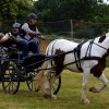 074 Week-end du cheval-Concours Attelage à La Forêt Fouesnant 9-10 juillet 2016