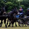 074 Week-end du cheval-Concours Attelage à La Forêt Fouesnant 9-10 juillet 2016