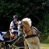 074 Week-end du cheval-Concours Attelage à La Forêt Fouesnant 9-10 juillet 2016