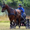 074 Week-end du cheval-Concours Attelage à La Forêt Fouesnant 9-10 juillet 2016