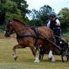 074 Week-end du cheval-Concours Attelage à La Forêt Fouesnant 9-10 juillet 2016