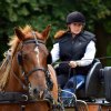 074 Week-end du cheval-Concours Attelage à La Forêt Fouesnant 9-10 juillet 2016