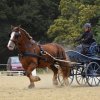 074 Week-end du cheval-Concours Attelage à La Forêt Fouesnant 9-10 juillet 2016