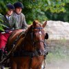 074 Week-end du cheval-Concours Attelage à La Forêt Fouesnant 9-10 juillet 2016