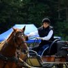 074 Week-end du cheval-Concours Attelage à La Forêt Fouesnant 9-10 juillet 2016