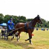 074 Week-end du cheval-Concours Attelage à La Forêt Fouesnant 9-10 juillet 2016