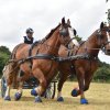 074 Week-end du cheval-Concours Attelage à La Forêt Fouesnant 9-10 juillet 2016