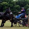 074 Week-end du cheval-Concours Attelage à La Forêt Fouesnant 9-10 juillet 2016