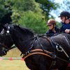 074 Week-end du cheval-Concours Attelage à La Forêt Fouesnant 9-10 juillet 2016