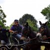 074 Week-end du cheval-Concours Attelage à La Forêt Fouesnant 9-10 juillet 2016