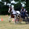 074 Week-end du cheval-Concours Attelage à La Forêt Fouesnant 9-10 juillet 2016