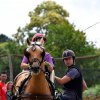 074 Week-end du cheval-Concours Attelage à La Forêt Fouesnant 9-10 juillet 2016
