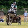 074 Week-end du cheval-Concours Attelage à La Forêt Fouesnant 9-10 juillet 2016