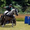 074 Week-end du cheval-Concours Attelage à La Forêt Fouesnant 9-10 juillet 2016