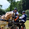 074 Week-end du cheval-Concours Attelage à La Forêt Fouesnant 9-10 juillet 2016