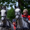 074 Week-end du cheval-Concours Attelage à La Forêt Fouesnant 9-10 juillet 2016