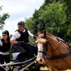 074 Week-end du cheval-Concours Attelage à La Forêt Fouesnant 9-10 juillet 2016