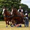 074 Week-end du cheval-Concours Attelage à La Forêt Fouesnant 9-10 juillet 2016