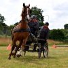 074 Week-end du cheval-Concours Attelage à La Forêt Fouesnant 9-10 juillet 2016