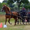 074 Week-end du cheval-Concours Attelage à La Forêt Fouesnant 9-10 juillet 2016