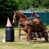 074 Week-end du cheval-Concours Attelage à La Forêt Fouesnant 9-10 juillet 2016