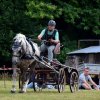 074 Week-end du cheval-Concours Attelage à La Forêt Fouesnant 9-10 juillet 2016