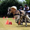 074 Week-end du cheval-Concours Attelage à La Forêt Fouesnant 9-10 juillet 2016