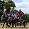 074 Week-end du cheval-Concours Attelage à La Forêt Fouesnant 9-10 juillet 2016