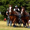 074 Week-end du cheval-Concours Attelage à La Forêt Fouesnant 9-10 juillet 2016