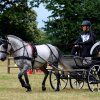 074 Week-end du cheval-Concours Attelage à La Forêt Fouesnant 9-10 juillet 2016