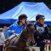 074 Week-end du cheval-Concours Attelage à La Forêt Fouesnant 9-10 juillet 2016