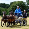 074 Week-end du cheval-Concours Attelage à La Forêt Fouesnant 9-10 juillet 2016