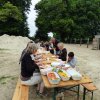 074 Week-end du cheval-Concours Attelage à La Forêt Fouesnant 9-10 juillet 2016