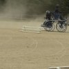 074 Week-end du cheval-Concours Attelage à La Forêt Fouesnant 9-10 juillet 2016