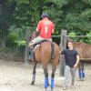 074 Week-end du cheval-Concours Attelage à La Forêt Fouesnant 9-10 juillet 2016