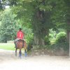 074 Week-end du cheval-Concours Attelage à La Forêt Fouesnant 9-10 juillet 2016